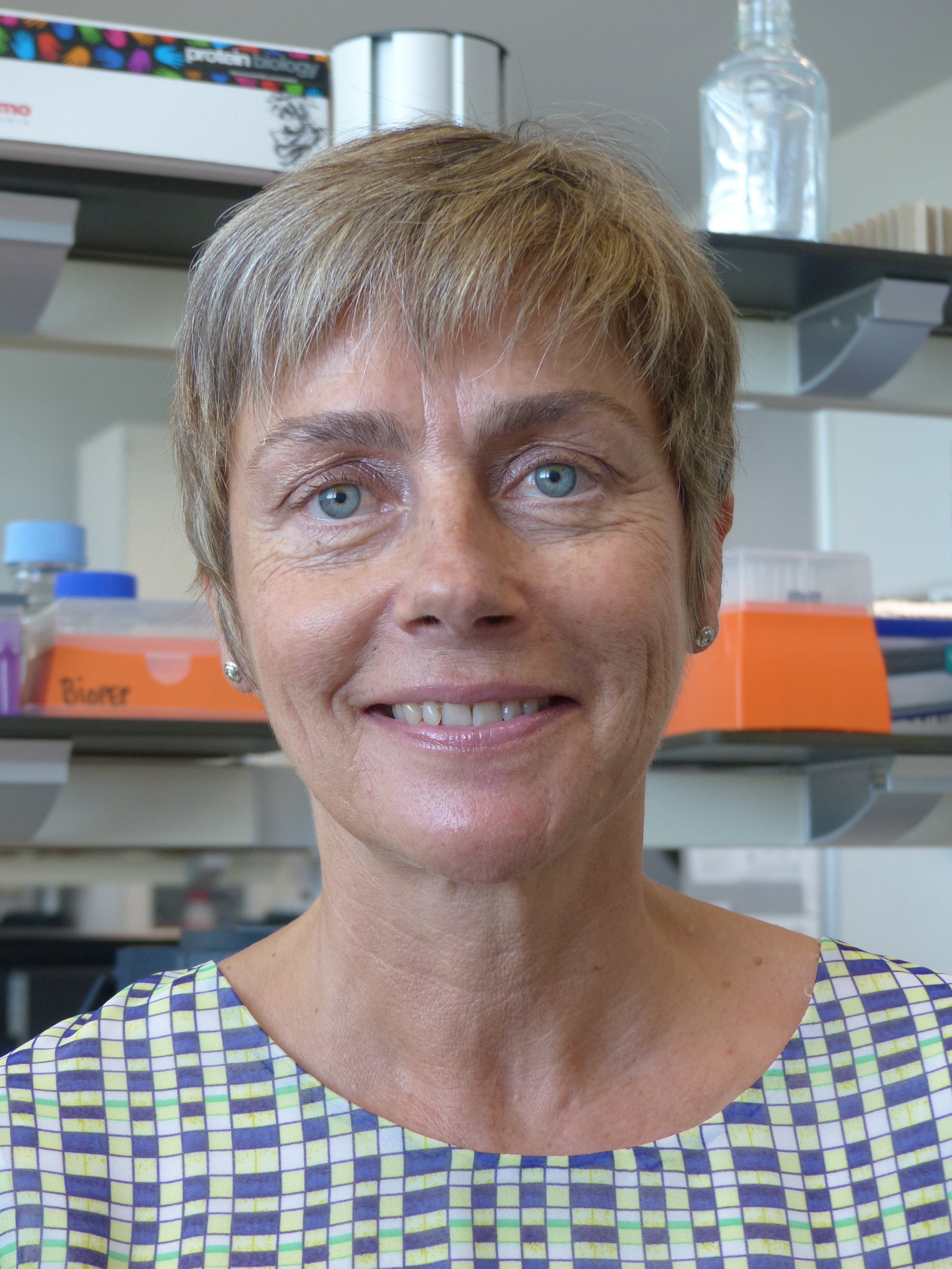 Rosina López-Alonso